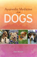 Ayurvedic Medicine for Dogs